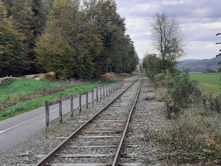 A L'Oree Du Bois "Les Hetres" Guewenheim Exteriér fotografie